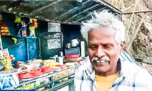 Wild Elephant attack