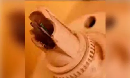 കൊടുങ്ങല്ലൂരിൽ സ്കൂളിലെ നിരീക്ഷണ കാമറകൾ അടിച്ചുതകർത്തു