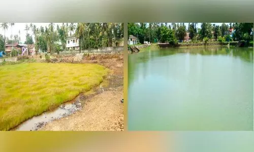 പാ​യ​ലി​നും പു​ല്ലി​നും വി​ട...സു​ന്ദ​രി​യാ​യി പെ​രു​കു​ളം