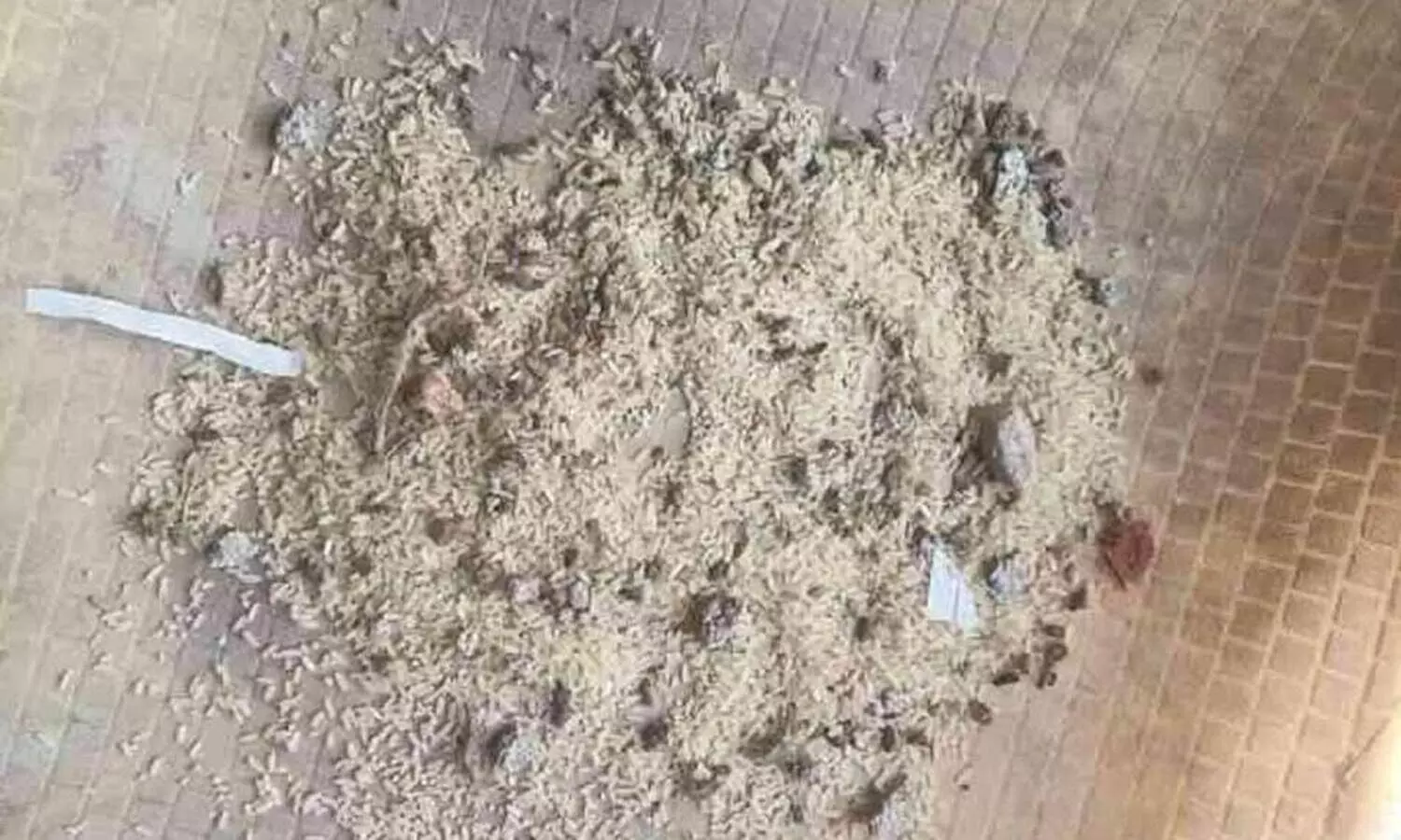 എലിക്കാട്ടം, കല്ല്, മണ്ണ്: സ്കൂൾ ഉച്ചഭക്ഷണ അരി ‘പോഷക സമ്പുഷ്ടം’!!