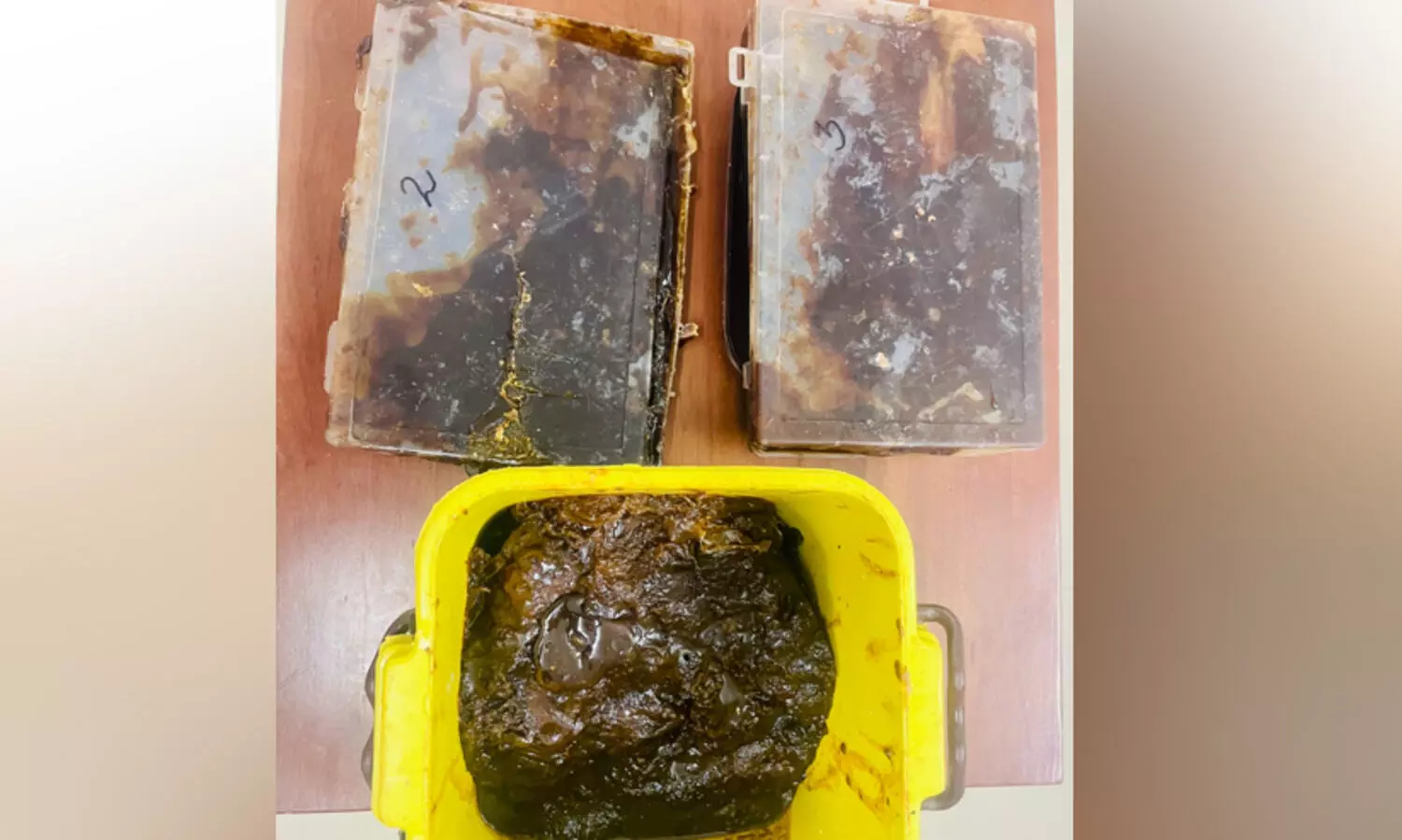 വയനാട്ടിൽ പത്തു കിലോ തിമിംഗല ഛർദിയുമായി രണ്ടുപേർ അറസ്റ്റിൽ