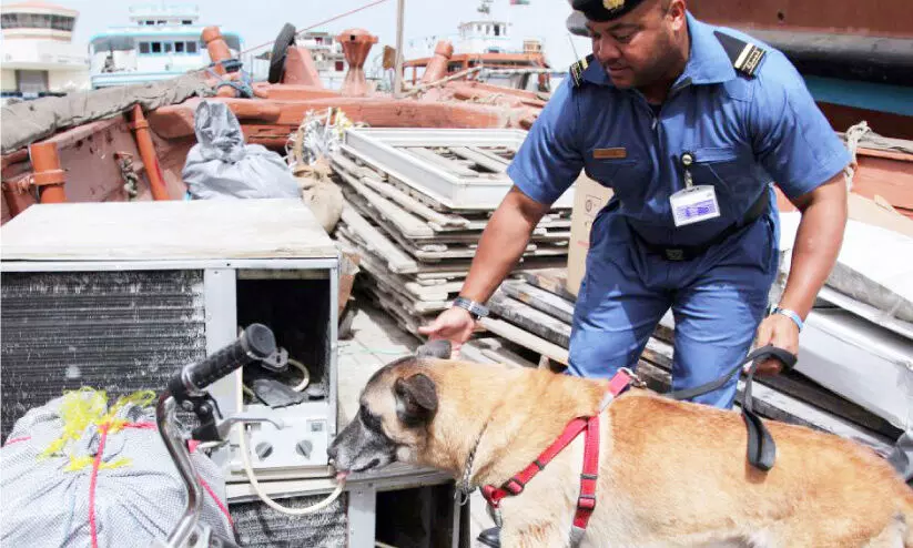 ദുബൈ ജബൽഅലിയിൽ വൻ മയക്കുമരുന്നുവേട്ട ദുബൈ ജബൽഅലിയിൽ വൻ മയക്കുമരുന്നുവേട്ട
