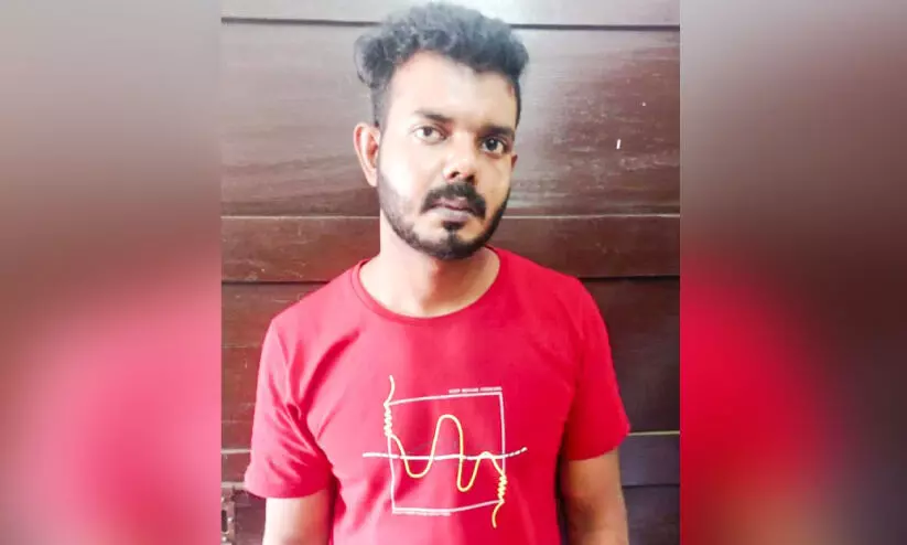 attack using dogs, man arrested attack using dogs, man arrested