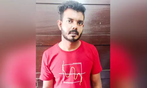 attack using dogs, man arrested