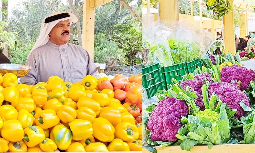 ബഹ്റൈനിൽ വിളഞ്ഞ ഫ്രഷ് പച്ചക്കറി വേണോ; ബുദയ്യ മാർക്കറ്റിലേക്ക് പോകാം