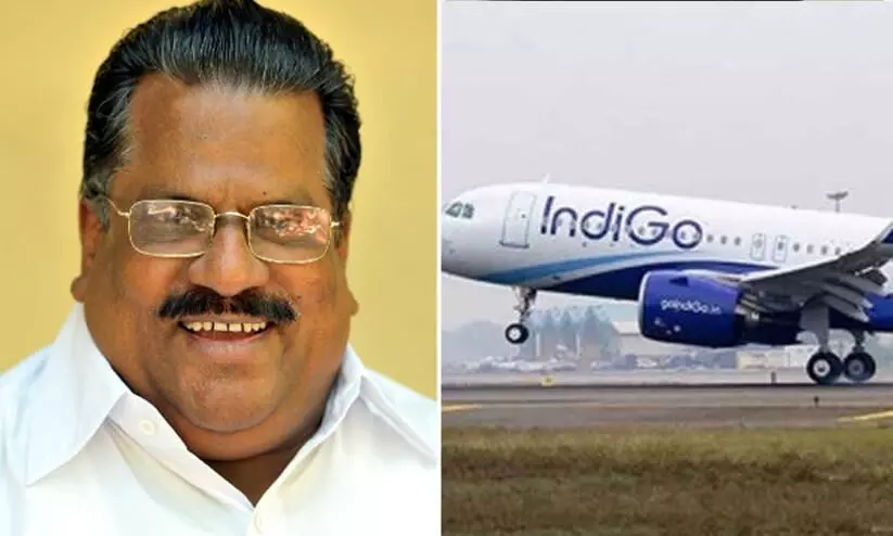 Indigo calls back EP Reply that it can