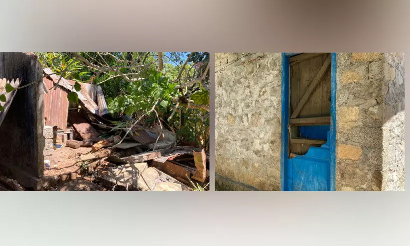 ചിന്നക്കനാലിൽ നാല് വീടിനു നേരെ കാട്ടാന ആക്രമണം ചിന്നക്കനാലിൽ നാല് വീടിനു നേരെ കാട്ടാന ആക്രമണം