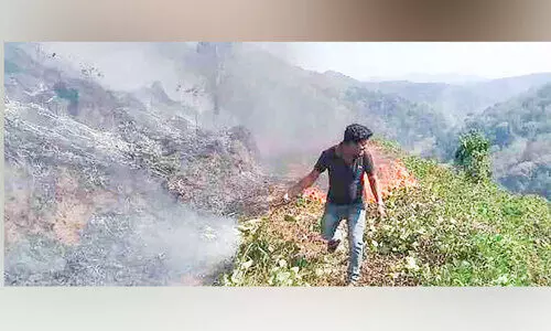 വീണ്ടും കാട്ടുതീ; ചെന്നാപ്പാറയില്‍ 300 ഏക്കര്‍ കത്തിനശിച്ചു