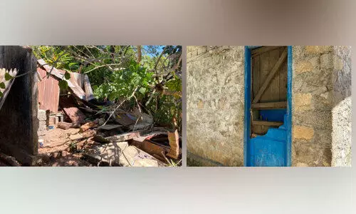 ചിന്നക്കനാലിൽ നാല്​ വീടിനു​ നേരെ കാട്ടാന ആക്രമണം