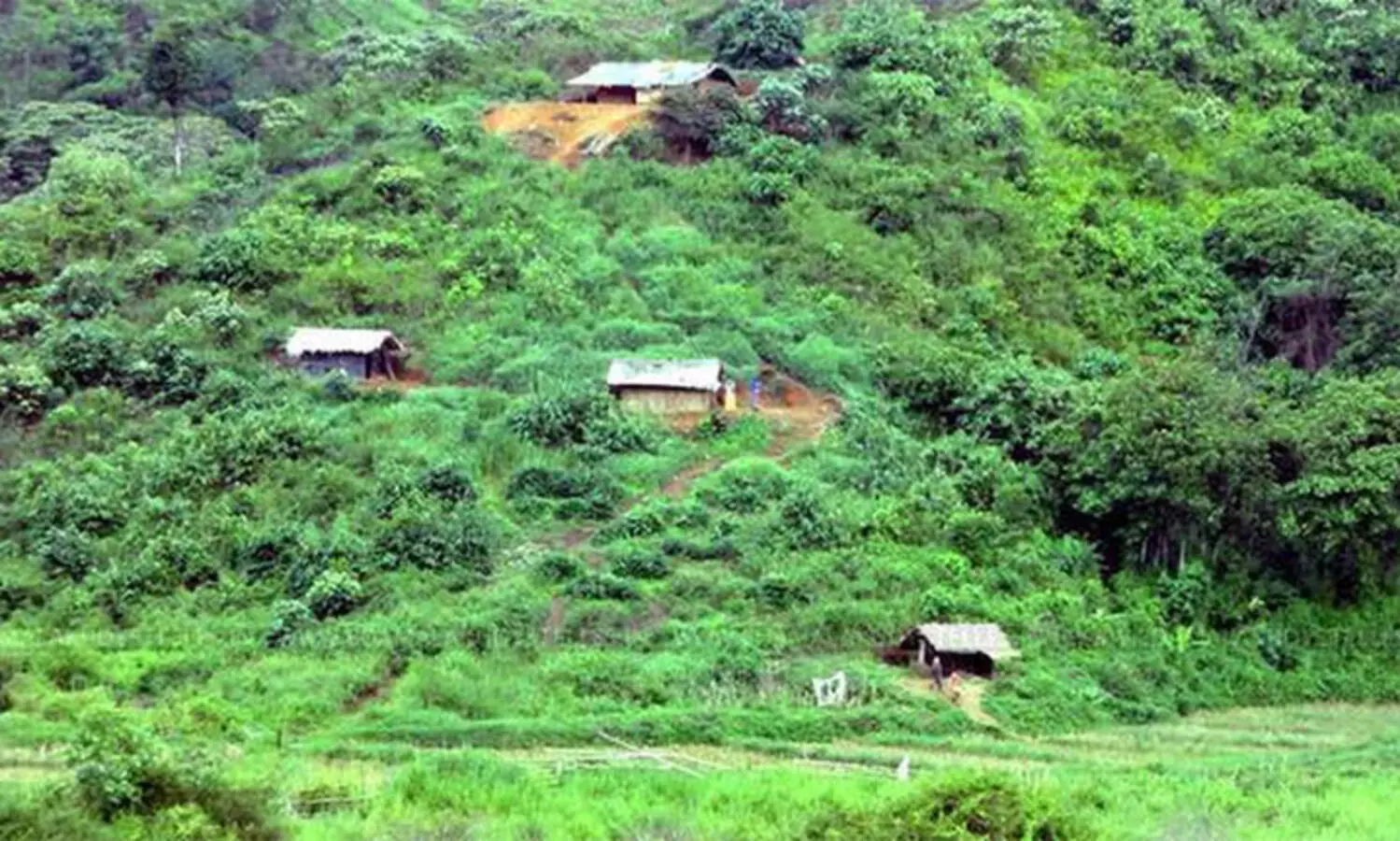 ഇടമലക്കുടിയിലെ ഇന്റർനെറ്റ് കണക്റ്റിവിറ്റിക്കായി 4.31 കോടി ചെലവഴിച്ചു