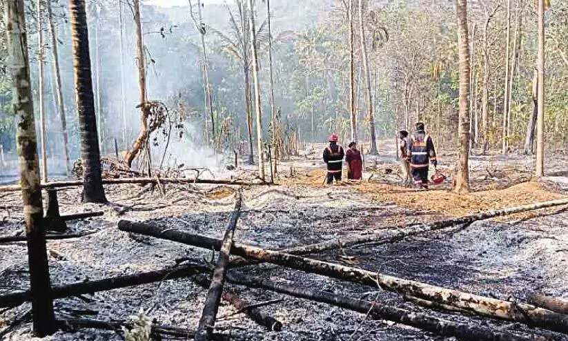 ചാലക്കുടി മേഖലയിൽ രണ്ടിടത്ത് തീപിടിത്തം ചാലക്കുടി മേഖലയിൽ രണ്ടിടത്ത് തീപിടിത്തം