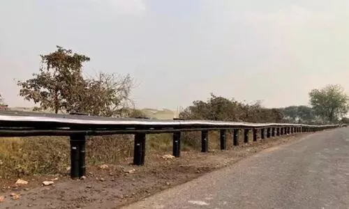 റോഡിൽ മുള സുരക്ഷാവേലി; ലോകത്താദ്യമെന്ന് മന്ത്രി നി​തി​ൻ ഗ​ഡ്ക​രി