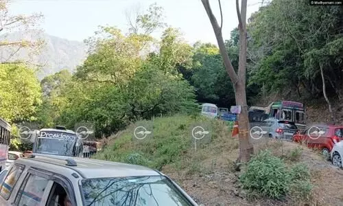 വയനാട് ചുരത്തിൽ ഗതാഗതം തടസപ്പെട്ടു