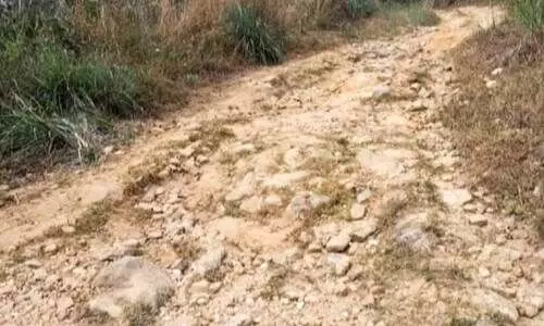 പട്ടയക്കുടി റോഡ് തകർന്നു; യാത്ര കഠിനം പട്ടയക്കുടി റോഡ് തകർന്നു; യാത്ര കഠിനം