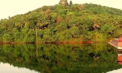 പ​ട്ടാ​മ്പി ത​ട​യ​ണ​ക്ക് 32.50 കോ​ടി​യു​ടെ സാ​​ങ്കേ​തി​ക അ​നു​മ​തി