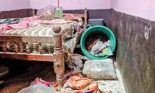 ച​ള​വ​റ​യി​ൽ ജ​ന​ത്തെ വ​ല​ച്ച് കു​ര​ങ്ങു​ക​ൾ