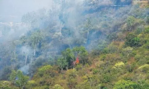 ചാമുണ്ഡി, ഗോപാല സ്വാമി കുന്നുകളിൽ കാട്ടുതീ; നൂറുകണക്കിന് ഏക്കർ തീ വിഴുങ്ങി, പക്ഷികൾ ചത്തു