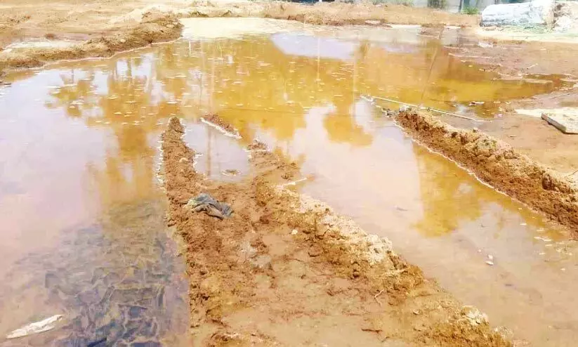 തുള്ളിവെള്ളമില്ലാതെ ത​ളി​ക്കു​ളം