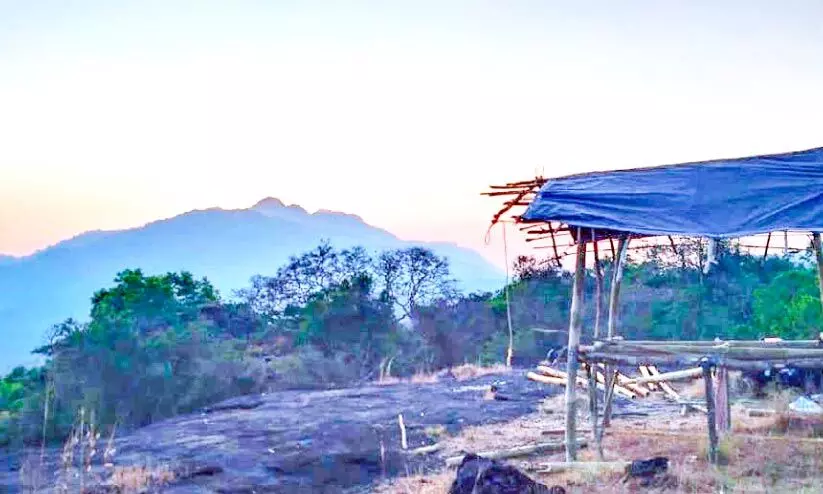 തീപിടിത്ത നിയന്ത്രണം: ജാഗ്രതയോടെ വനം ജീവനക്കാർ തീപിടിത്ത നിയന്ത്രണം: ജാഗ്രതയോടെ വനം ജീവനക്കാർ