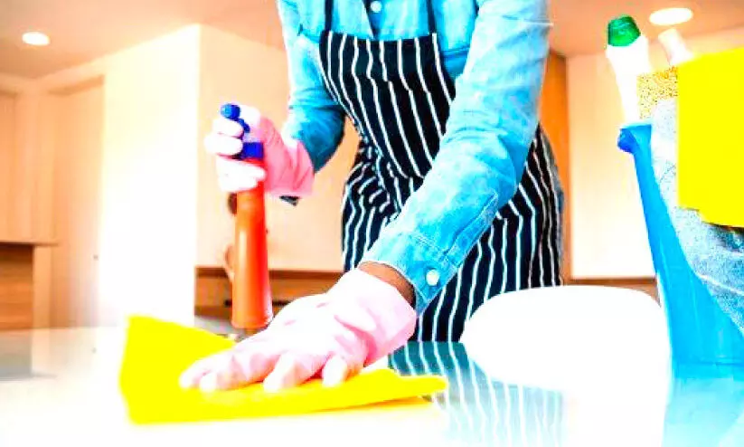 32 percent of expatriate workers are domestic workers 32 percent of expatriate workers are domestic workers