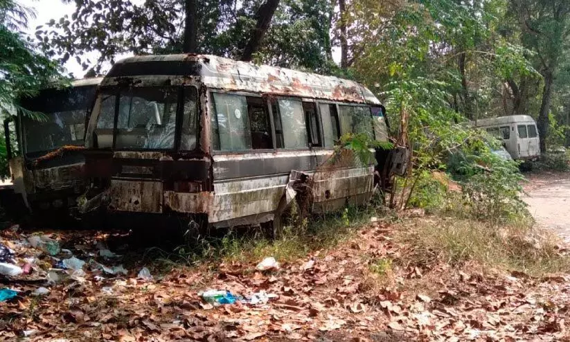 മെഡിക്കൽ കോളജ് പരിസരത്ത്​ വിഹരിക്കുന്നത്​ തെരുവുനായ്ക്കളും പാമ്പുകളും