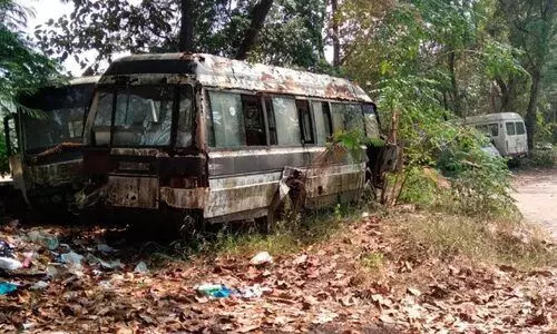 മെഡിക്കൽ കോളജ് പരിസരത്ത്​ വിഹരിക്കുന്നത്​ തെരുവുനായ്ക്കളും പാമ്പുകളും