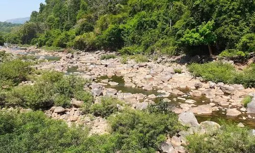 ബാരാപോൾ പുഴയിൽ നീരൊഴുക്ക് കുറഞ്ഞു: വൈദ്യുതി ഉൽപാദനം നിർത്തി ബാരാപോൾ പുഴയിൽ നീരൊഴുക്ക് കുറഞ്ഞു: വൈദ്യുതി ഉൽപാദനം നിർത്തി