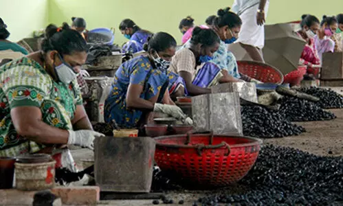 കശുവണ്ടി വ്യവസായത്തെ കൈപിടിച്ചുയർത്തുമെന്ന് പി. രാജീവ്