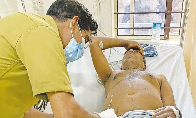 ശാന്തിനഗറിൽ ആറുപേർക്ക് തേനീച്ചകളുടെ കുത്തേറ്റു ശാന്തിനഗറിൽ ആറുപേർക്ക് തേനീച്ചകളുടെ കുത്തേറ്റു