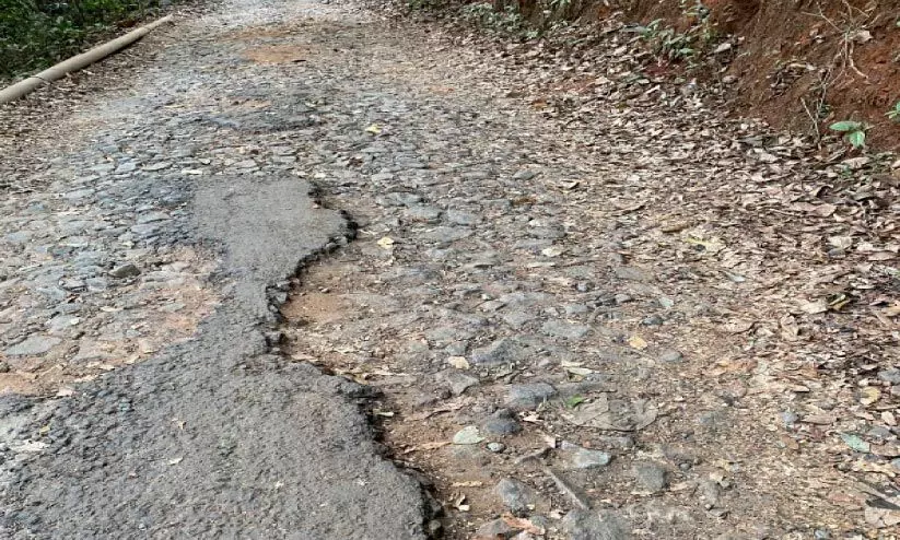 ജാനകിക്കാട് ഇക്കോ ടൂറിസം റോഡുകൾ ദുർഘടം ജാനകിക്കാട് ഇക്കോ ടൂറിസം റോഡുകൾ ദുർഘടം