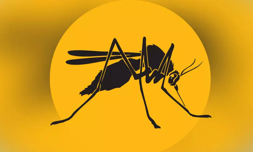 ചൂ​ടു​കൂ​ടു​ന്നു; കൊ​തു​കു​ക​ളെ സൂ​ക്ഷി​ക്കു​ക