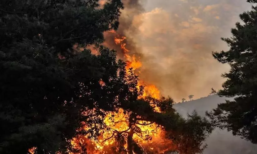 തീപിടിത്ത സാധ്യത: വനത്തിലെ വിനോദസഞ്ചാരം നിർത്തിവെക്കണമെന്ന് പ്രകൃതി സംരക്ഷണ സമിതി തീപിടിത്ത സാധ്യത: വനത്തിലെ വിനോദസഞ്ചാരം നിർത്തിവെക്കണമെന്ന് പ്രകൃതി സംരക്ഷണ സമിതി