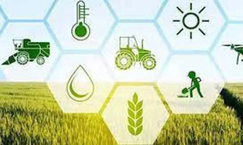 പത്തനംതിട്ടയിൽ കാര്ഷിക സെന്സസ് പുരോഗമിക്കുന്നു പത്തനംതിട്ടയിൽ കാര്ഷിക സെന്സസ് പുരോഗമിക്കുന്നു