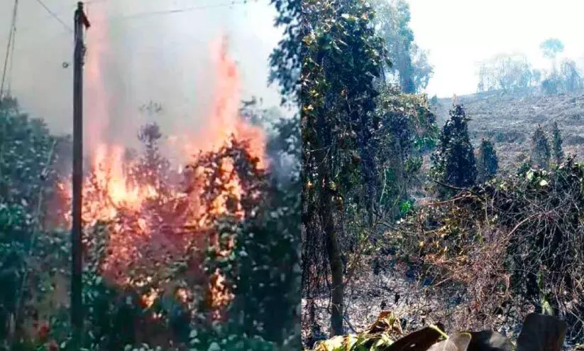 കോട്ടുകുന്നം മലയില്‍ തീപിടിത്തം: 200 ഏക്കർ കാട്​ കത്തി