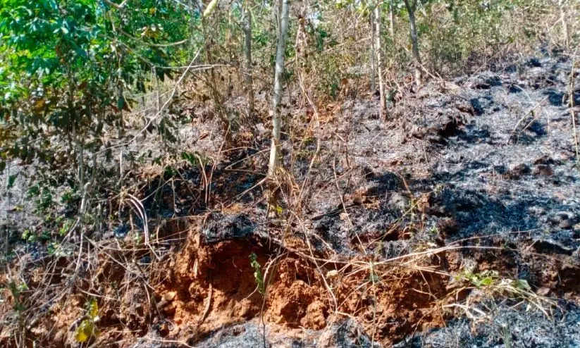 തീക്കളിയരുത്; നൊ​മ്പ​ര​മാ​യി വീ​ട്ട​മ്മ​യു​ടെ മ​ര​ണം