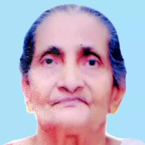 ചെ​മ്പ​ക​വ​ല്ലി