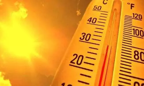 വേനൽ: വേഴാമ്പലായി കേരളം