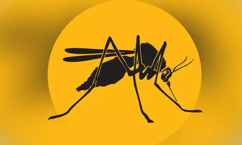 ചൂ​ടു​കൂ​ടു​ന്നു; കൊ​തു​കു​ക​ളെ സൂ​ക്ഷി​ക്കു​ക