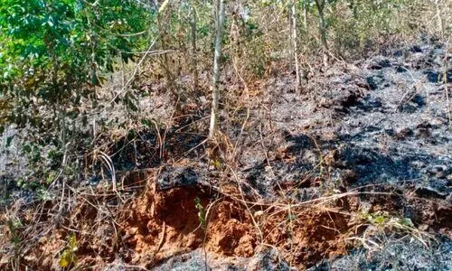 തീക്കളിയരുത്; നൊമ്പരമായി വീട്ടമ്മയുടെ മരണം തീക്കളിയരുത്; നൊമ്പരമായി വീട്ടമ്മയുടെ മരണം