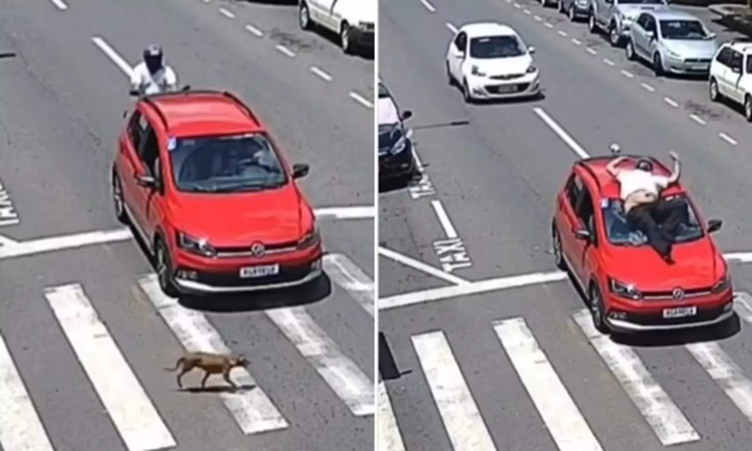 കാറിന് പിന്നിൽ ബൈക്കിടിച്ച് അപകടം, ആരുടെ ഭാഗത്താണ് തെറ്റ് ?