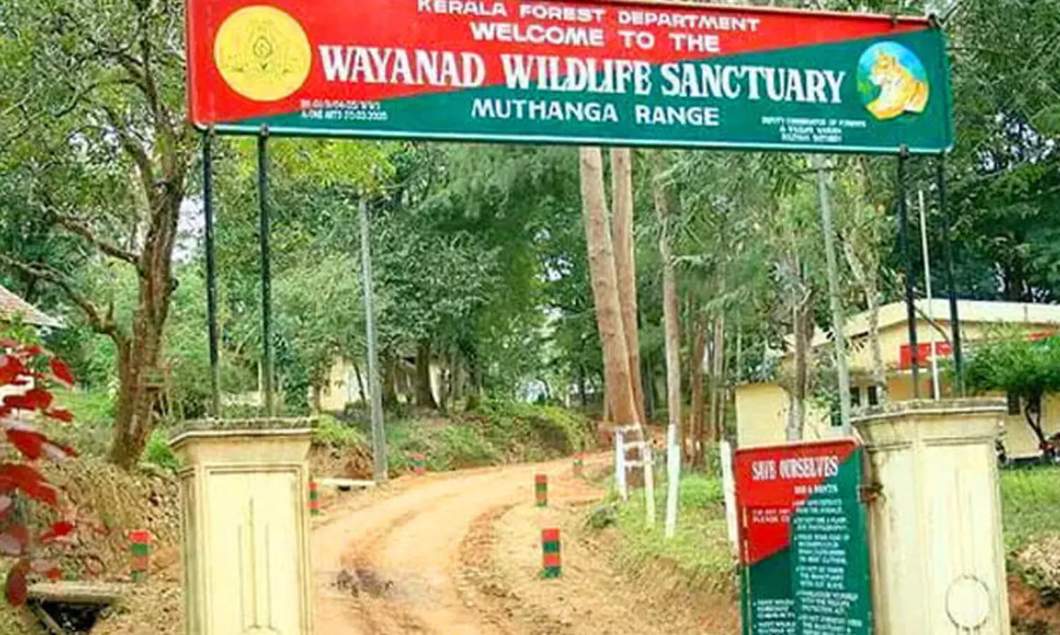 കാട്ടുതീ ഭീഷണി; വയനാട് വന്യജീവി സങ്കേതത്തില്‍ കാനന സവാരി നിർത്തിവെച്ചു