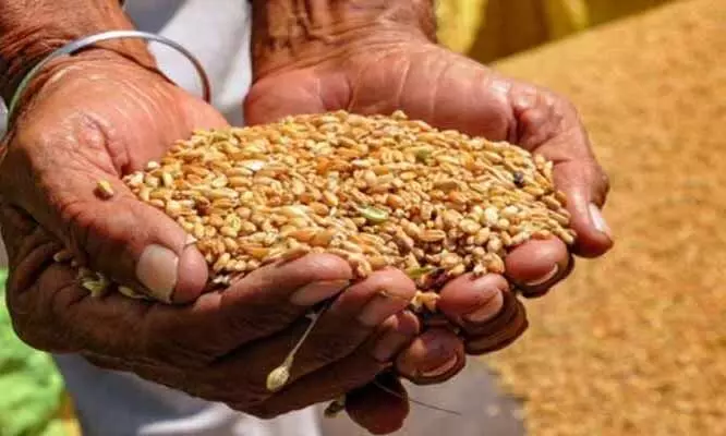 കിടപ്പുരോഗികൾക്ക് റേഷൻ; ‘ഒപ്പം’ പദ്ധതി ആലപ്പുഴയിൽ ഏപ്രില് മുതൽ കിടപ്പുരോഗികൾക്ക് റേഷൻ; ‘ഒപ്പം’ പദ്ധതി ആലപ്പുഴയിൽ ഏപ്രില് മുതൽ