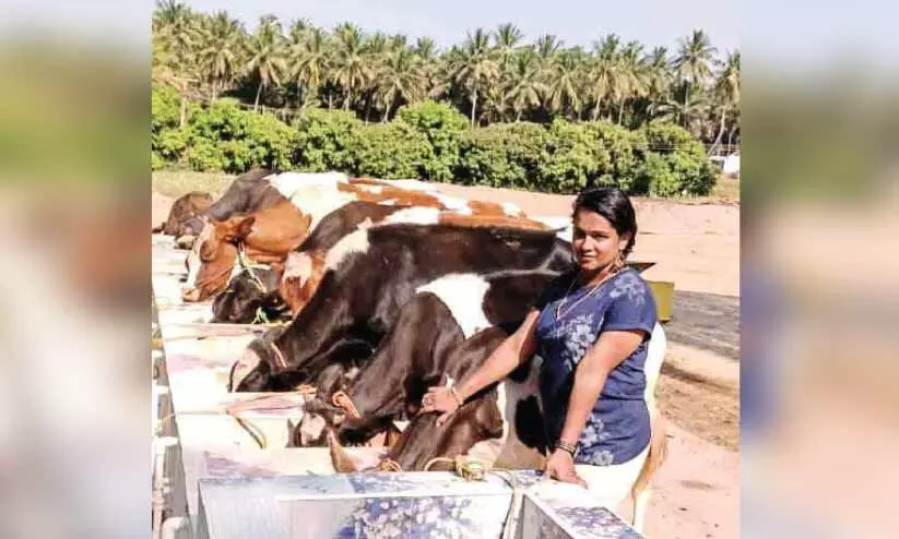 ഐശ്വര്യം ചുരത്തുന്ന പശു; ഇത് സ്മിതയുടെ മാതൃക ഐശ്വര്യം ചുരത്തുന്ന പശു; ഇത് സ്മിതയുടെ മാതൃക