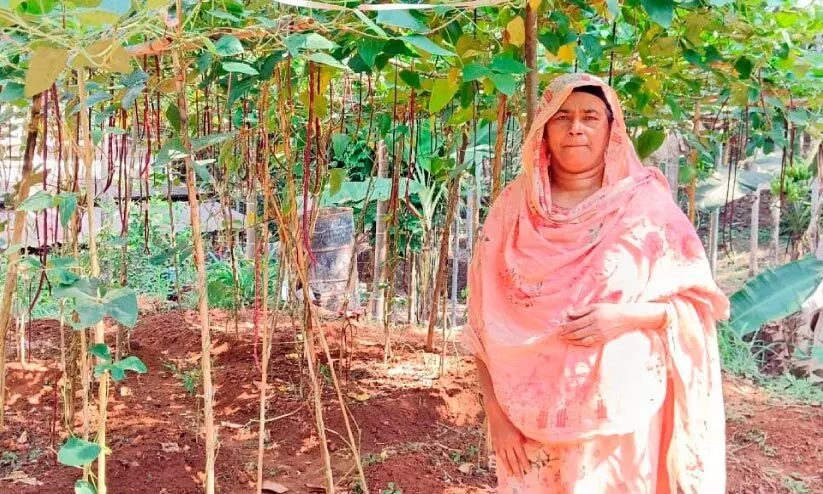 ജൈവ കൃഷിയിലെ പെണ്കരുത്ത് ജൈവ കൃഷിയിലെ പെണ്കരുത്ത്