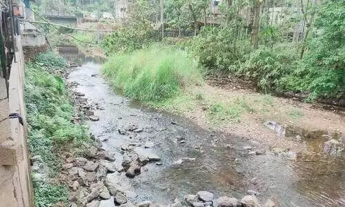 കോളറ; ഉറവിടം കാരക്കോടൻ പുഴ ? കോളറ; ഉറവിടം കാരക്കോടൻ പുഴ ?