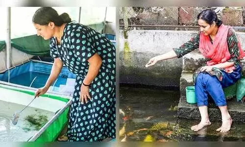 മത്സ്യമേഖലയിലെ നക്ഷത്രത്തിളക്കമായി തൃപ്തിയും ദീപയും