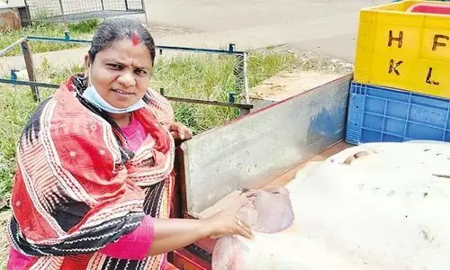 മ​ത്സ്യ​വി​പ​ണ​ന രം​ഗ​ത്തെ പെ​ൺ​സാ​ന്നി​ധ്യ​മാ​യി ശോ​ഭ ജ​യ​ൻ