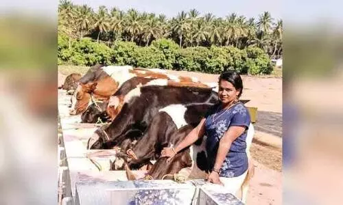 ഐശ്വര്യം ചുരത്തുന്ന പശു; ഇത് സ്മിതയുടെ മാതൃക