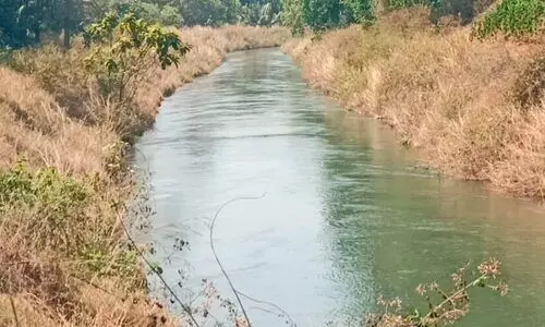 കല്ലട പദ്ധതി കനാലിൽ 10 വർഷത്തിലെ മികച്ച നീരൊഴുക്ക്