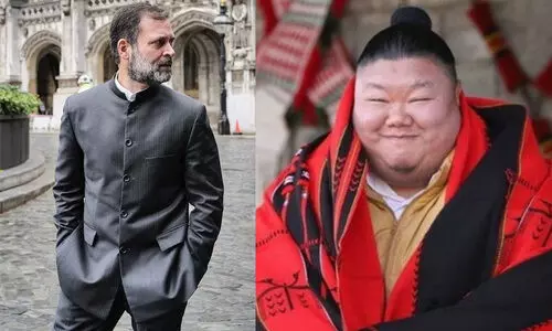 ‘ആ പോസും കോൺഫിഡൻസും വേറെ ലെവൽ’; രാഹുലിന്റെ ഫോട്ടോയെ പ്രശംസിച്ച് ബി.ജെ.പി നാഗാലാൻഡ് അധ്യക്ഷൻ